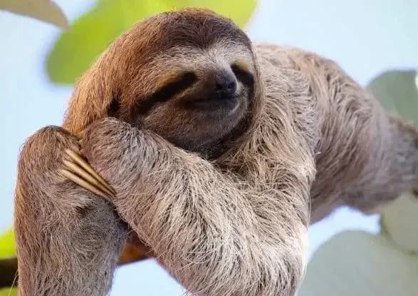 mizhnarodniy-den-linivtsya-den-aviadispetchera-scho-sche-mozhna-vidznachiti-20-zhovtnya