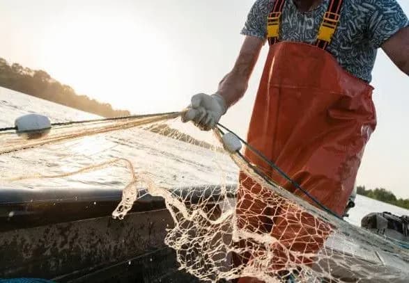 v-ukrayini-zapustili-elektronnu-sistemu-eriba-komu-tse-znadobitsya