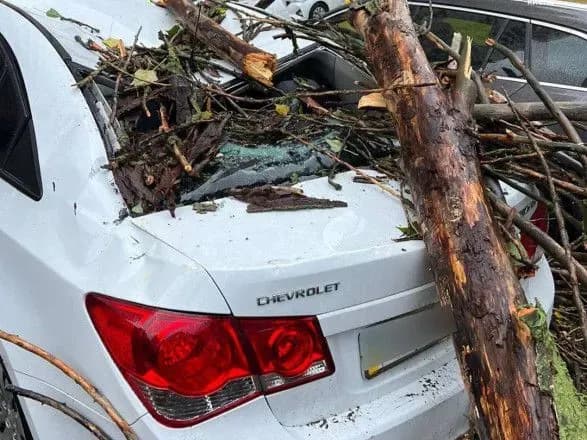 smertelniy-bureviy-u-kiyevi-zaginuv-cholovik-zhinka-otrimala-travmu-khrebta