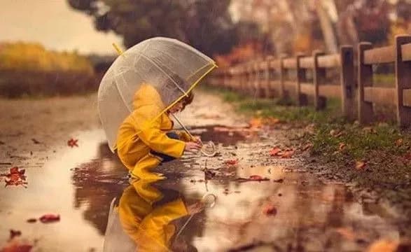 gotuyte-parasolki-sinoptiki-dali-prognoz-na-vikhidni