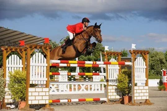 international-equestrian-federation-plans-to-allow-athletes-from-russia-and-belarus-to-compete