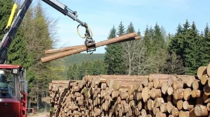 there-is-enough-firewood-in-the-country-to-get-through-the-winter-and-people-will-soon-be-able-to-receive-additional-funds-to-buy-it-minister-of-environmental-protection