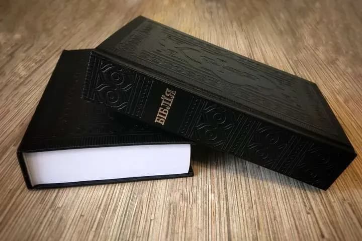 26-lystopada-mizhnarodnyi-den-biblii-vsesvitnii-den-olyvkovoho-dereva