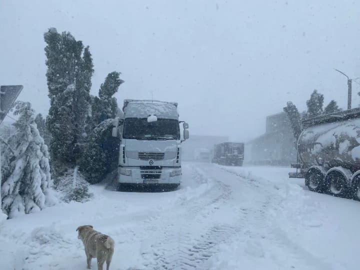 due-to-bad-weather-the-border-guard-service-of-moldova-has-warned-of-disruptions-at-checkpoints