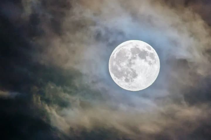 diite-obdumano-horoskop-dlia-vsikh-znakiv-zodiaku-na-27-lystopada-3-hrudnia