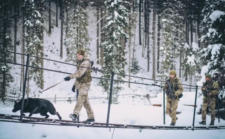 due-to-bad-weather-the-number-of-people-willing-to-illegally-cross-the-border-has-halved-demchenko