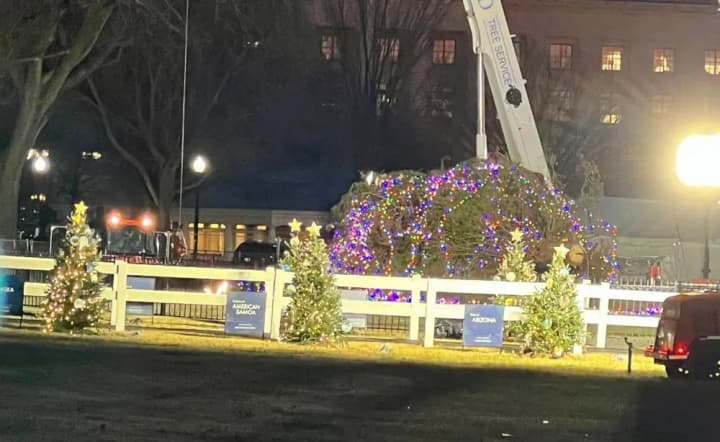 strong-winds-knock-over-the-national-christmas-tree-near-the-white-house-in-washington-dc