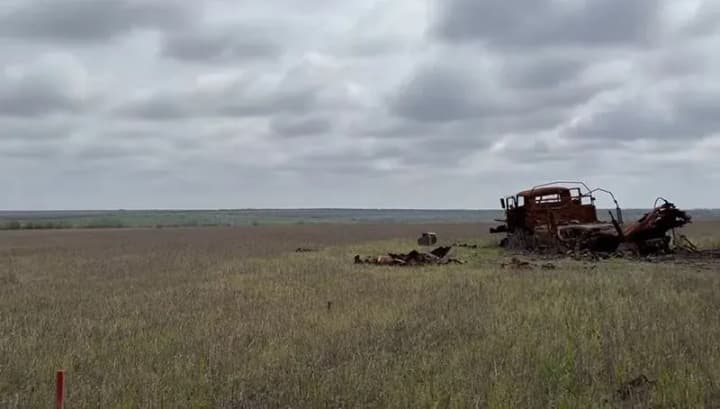 suputnyky-nasa-pokazuiut-shcho-na-tymchasovo-okupovanykh-terytoriiakh-skorochuiutsia-posivni-ploshchi-ta-obsiahy-vyroshchuvannia-ozymykh