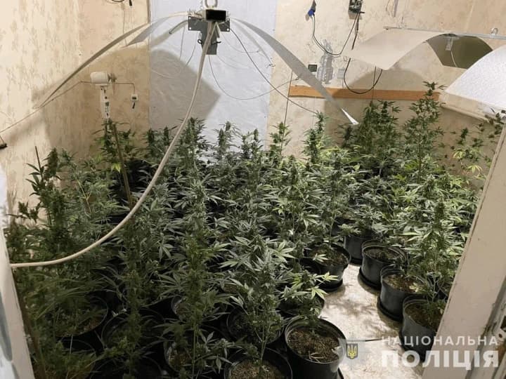 v-cherkasskoi-oblasti-razoblachena-narkogruppirovka-bolee-40-chelovek-arestovani-za-proizvodstvo-amfetamina-i-virashchivanie-konopli