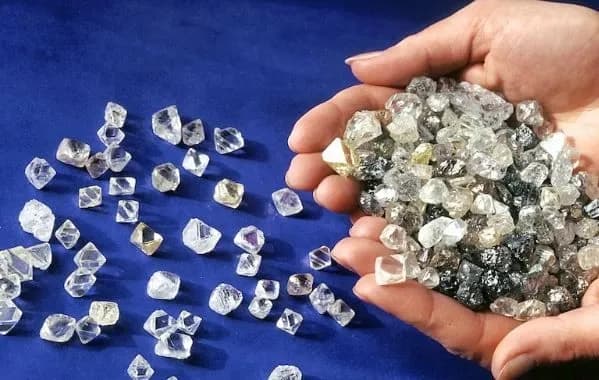 india-urges-g7-to-postpone-ban-on-russian-diamonds-media