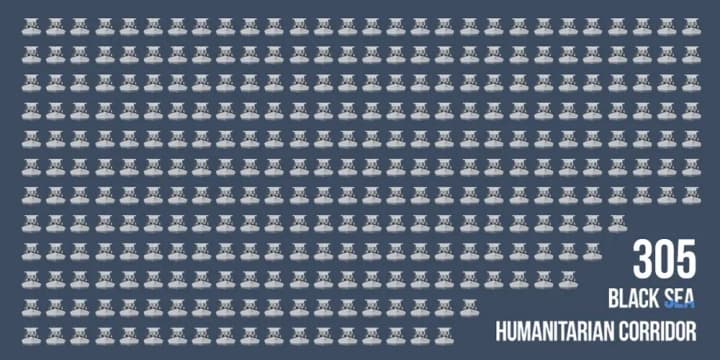 305-ships-us-ambassador-tells-about-the-success-of-the-ukrainian-grain-corridor