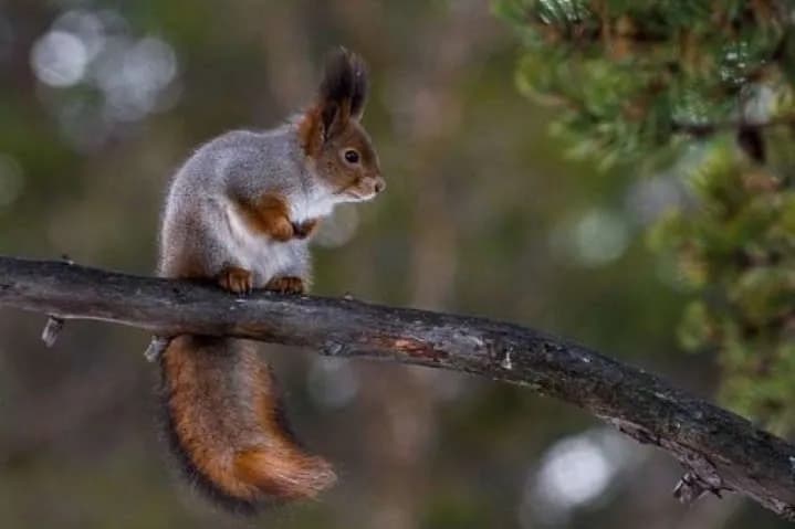 frosty-nights-and-warm-days-what-the-weather-in-ukraine-will-be-like-in-the-next-three-days