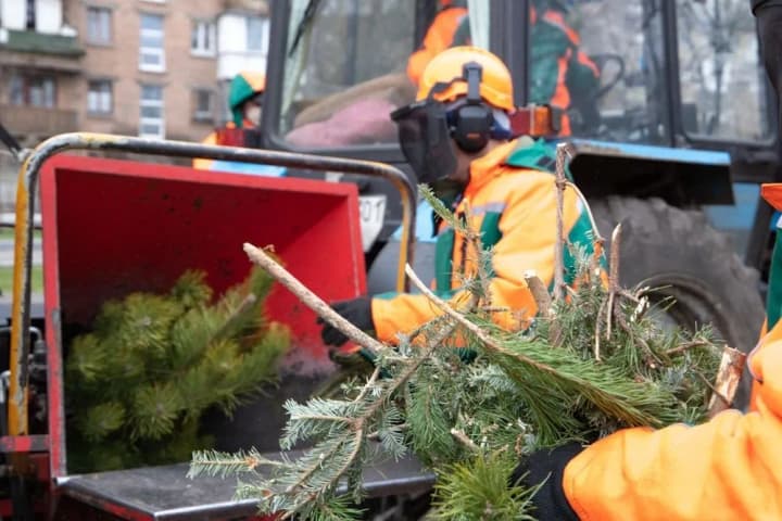 starting-january-4-44-christmas-tree-recycling-centers-will-open-in-kyiv