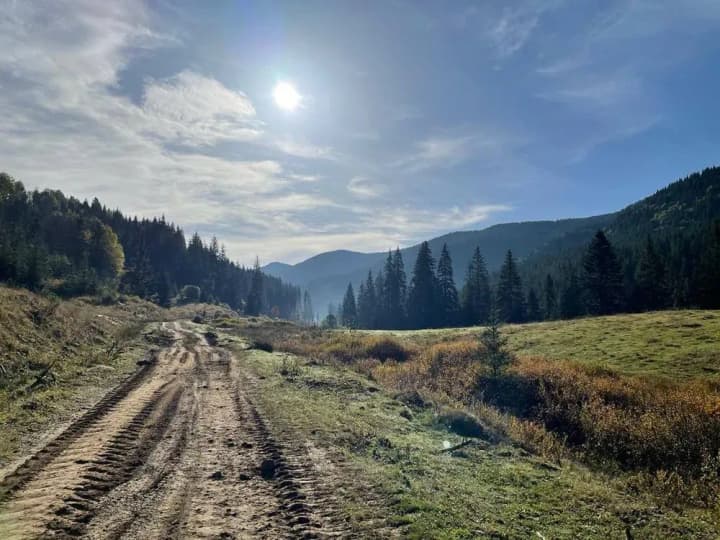 official-suspected-of-fraud-with-land-near-bukovel