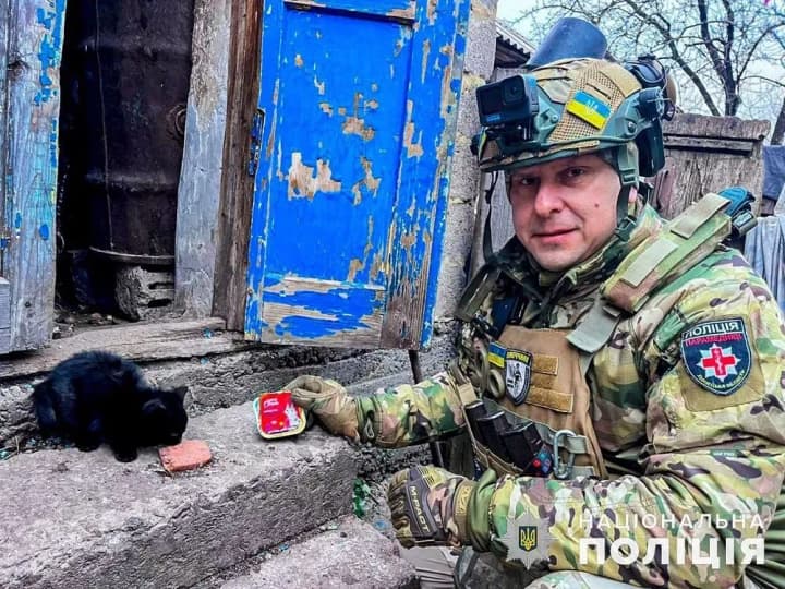 belie-angeli-dostavili-v-avdeevku-yedu-dlya-chetveronogikh-pushistikov