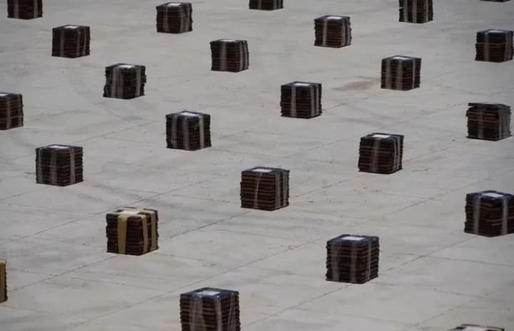 v-bolivii-izyali-rekordnuyu-partiyu-kokaina-pochti-9-tonn