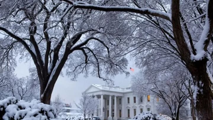 car-drives-into-the-gates-of-the-white-house