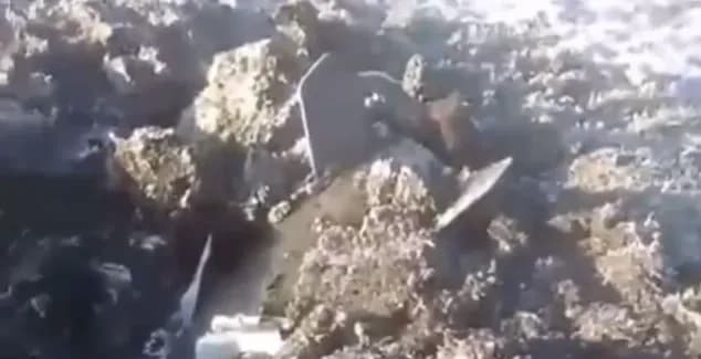 residents-of-the-krasnodar-territory-of-the-russian-federation-report-a-missile-fall-rosmedia