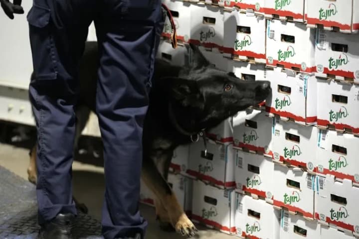 belgian-customs-seized-a-record-amount-of-cocaine-last-year