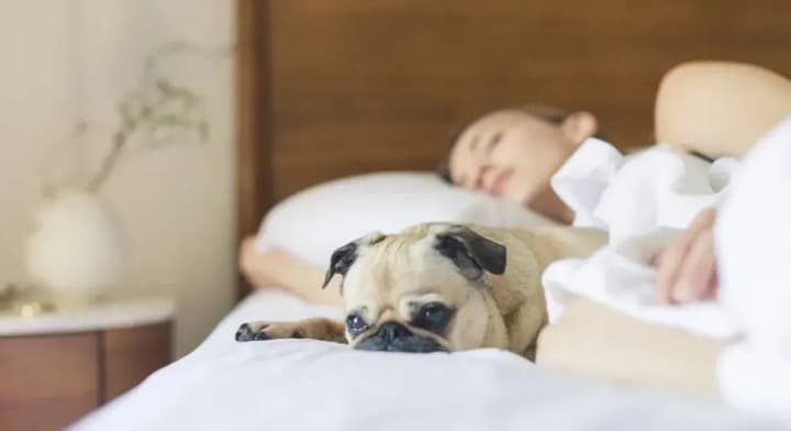 what-you-can-do-to-improve-your-sleep-expert-advice