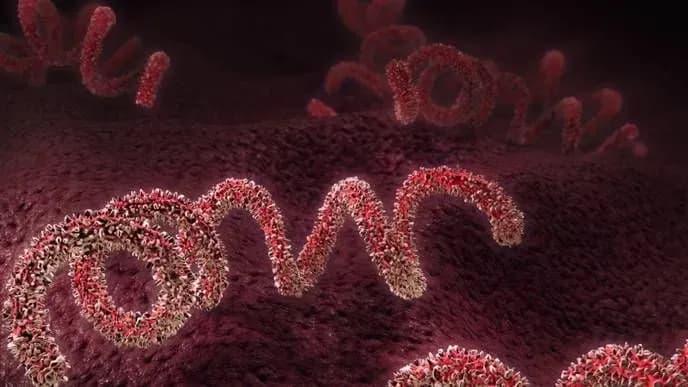 bakteriia-syfilisu-vzhe-isnuvala-v-amerytsi-do-prybuttia-yevropeitsiv-ta-mala-nevenerychnyi-variant-vcheni