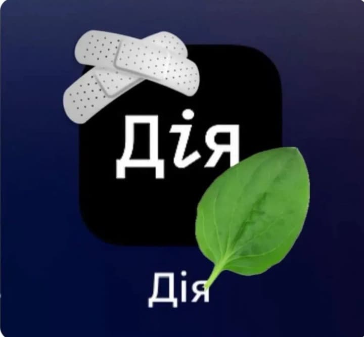 diia-hangs-again-ukrainians-put-the-app-on-hold-to-vote-for-the-winner-of-the-national-eurovision-song-contest