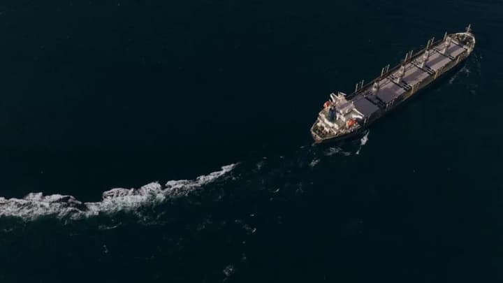 grain-from-ukraine-ukrainskym-korydorom-vyishlo-pershe-tsoho-roku-sudno-z-humanitarnoiu-pshenytseiu-dlia-niherii