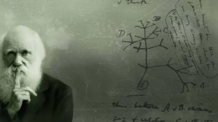 darwins-day-international-day-of-marriage-agencies-what-else-can-be-celebrated-on-february-12