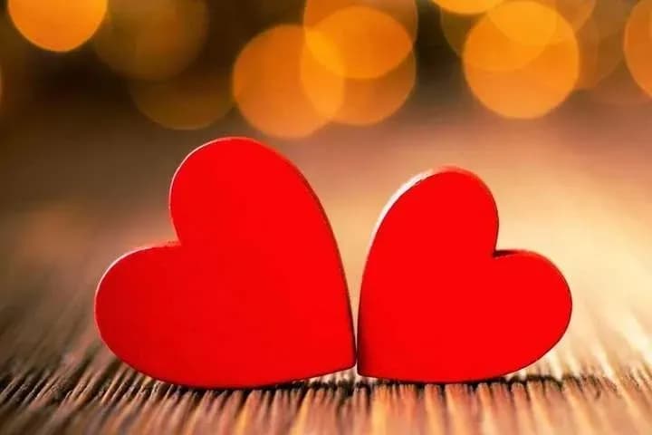 valentines-day-library-lovers-day-what-else-can-be-celebrated-on-february-14
