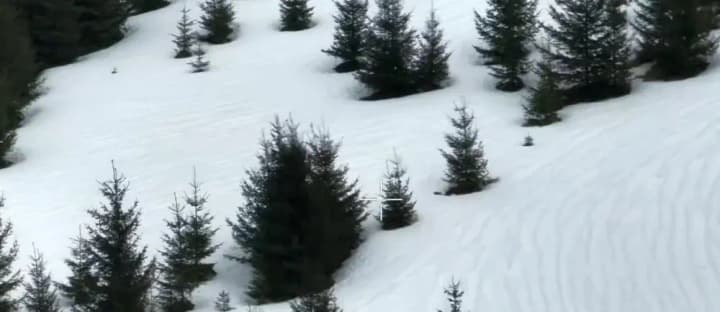 a-man-dies-trying-to-illegally-cross-the-border-with-romania-in-the-carpathians