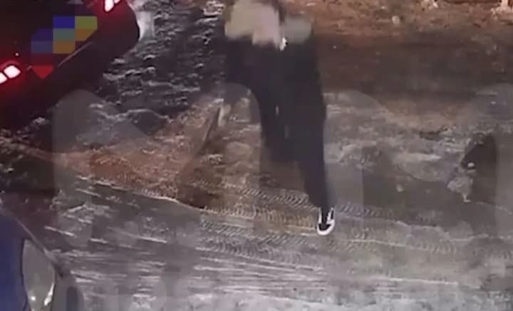 shooting-in-the-center-of-moscow-was-caused-by-an-accident-with-the-daughter-of-a-dpr-official-media