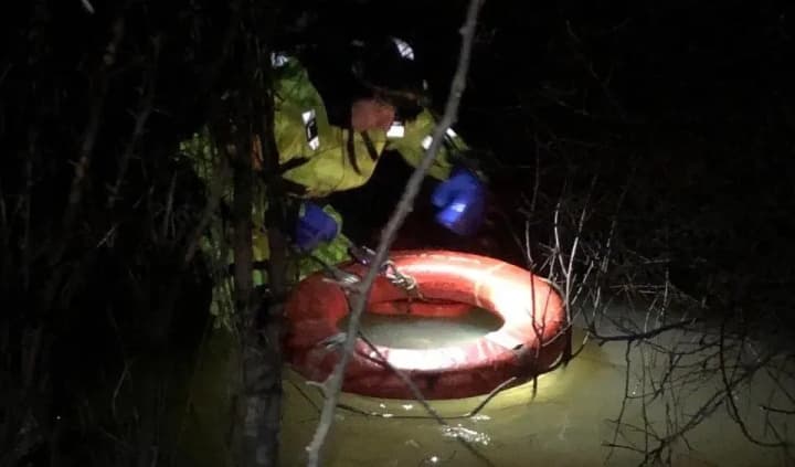 they-wanted-to-go-abroad-but-ended-up-in-a-tree-two-border-violators-were-detained-in-transcarpathia