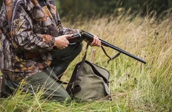 v-ukraine-razreshili-sanitarnuyu-okhotu-na-khishchnikh-zhivotnikh-iz-za-massovogo-zarazheniya-beshenstvom