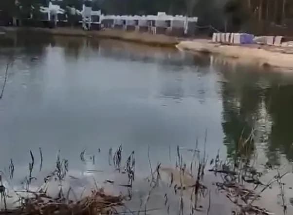 in-lviv-region-developers-are-illegally-draining-the-lake-in-order-not-to-flood-cottages-sadovyi