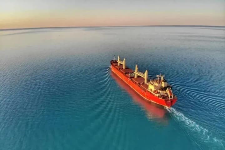 ukraina-eksportuvala-maizhe-90percent-pshenytsi-do-yes-cherez-chorne-more-u-sichni-shmyhal