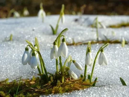 light-rains-and-warming-are-forecast-for-ukraine-on-february-25