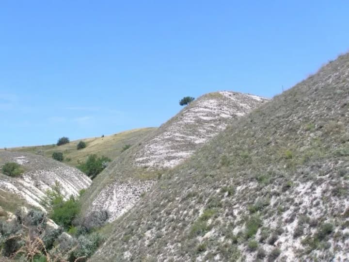 sokhranenie-redkikh-rastenii-i-zhivotnikh-v-donetskoi-oblasti-sozdana-pervaya-okhrannaya-zona-dlya-obektov-krasnoi-knigi