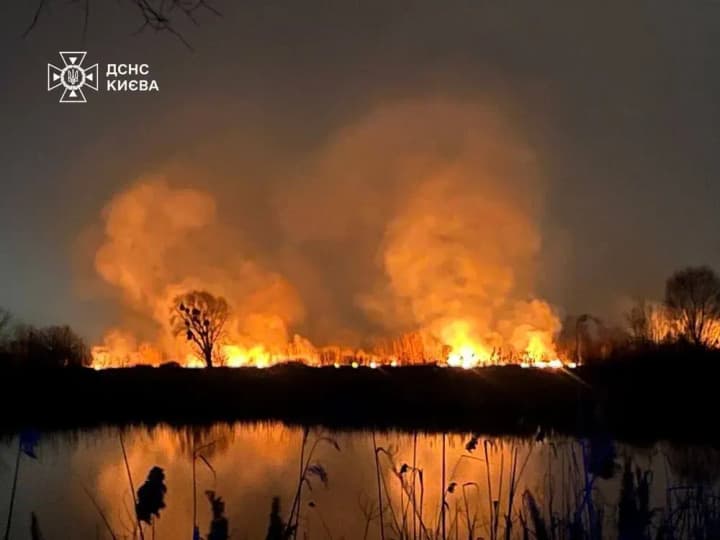 fire-in-the-osokorky-ecopark-about-3-hectares-of-dry-grass-are-burning