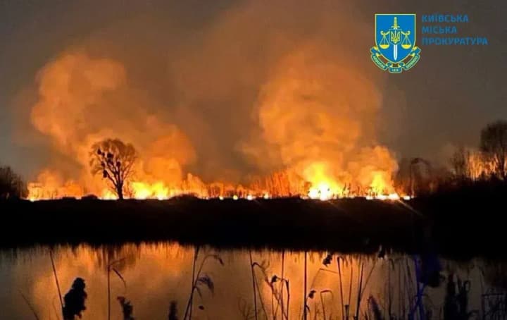 fire-in-the-osokorky-ecopark-law-enforcement-officers-open-criminal-proceedings