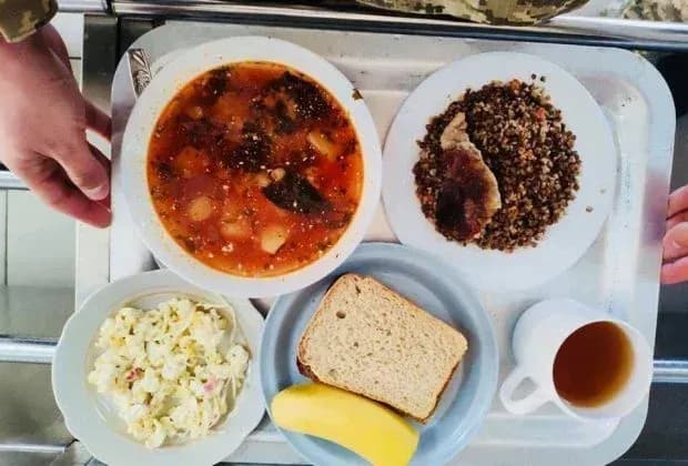 a-pillbox-across-the-throat-why-food-suppliers-to-the-armed-forces-are-blocking-tenders-under-transparent-rules