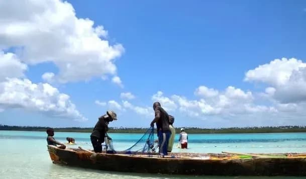 vozroslo-kolichestvo-zhertv-iz-za-massovogo-otravleniya-myasom-cherepakhi-na-zanzibare