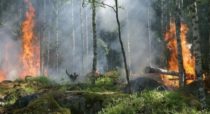 ministerstva-soglasovali-protivopozharnie-meropriyatiya-v-techenie-goda-obeshchayut-aktivizirovat-razyasnitelnuyu-rabotu-s-naseleniem