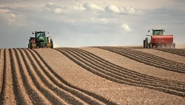 odesa-region-leads-ukraines-regions-in-terms-of-spring-crops-sown