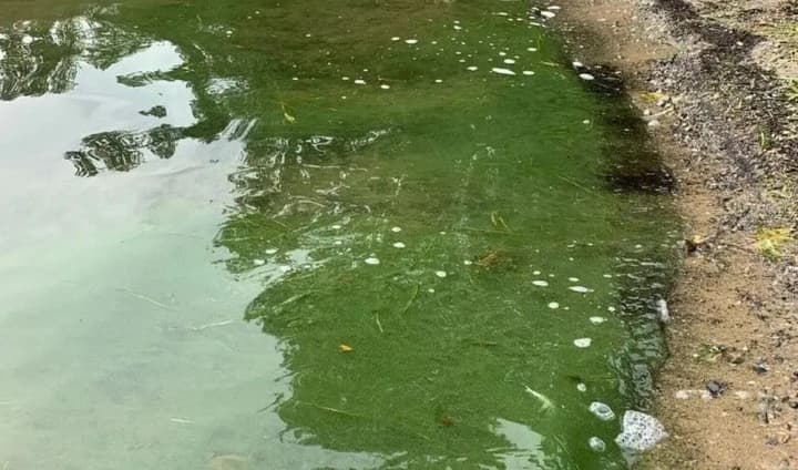 yakist-vody-u-berdiansku-pohirshuietsia-zhyteli-povidomliaiut-pro-sumnivnyi-vyhliad-ta-rizkyi-zapakh