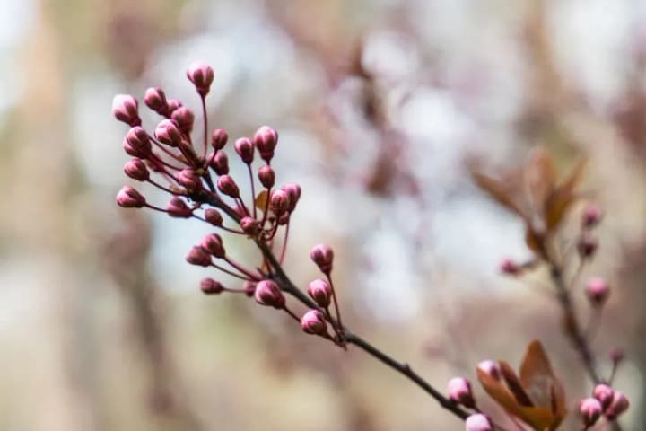 mostly-dry-weather-and-up-to-24-c-weather-forecast-for-tomorrow