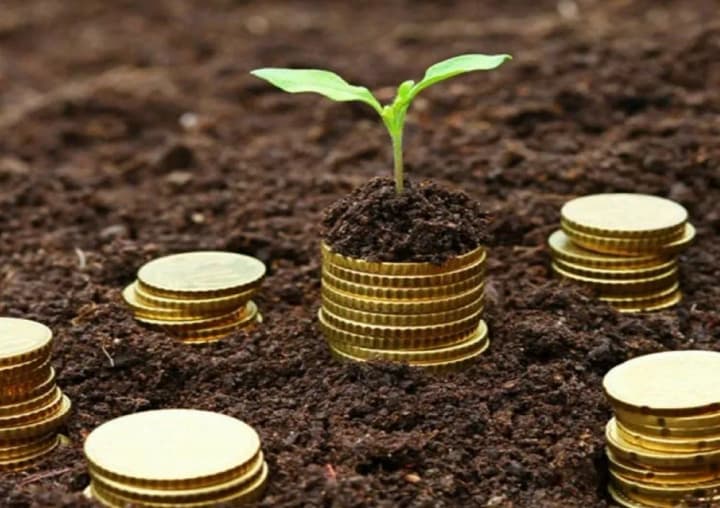 opendatabot-ponad-8-mln-mikrokredytiv-vzialy-ukraintsi-mynuloho-roku