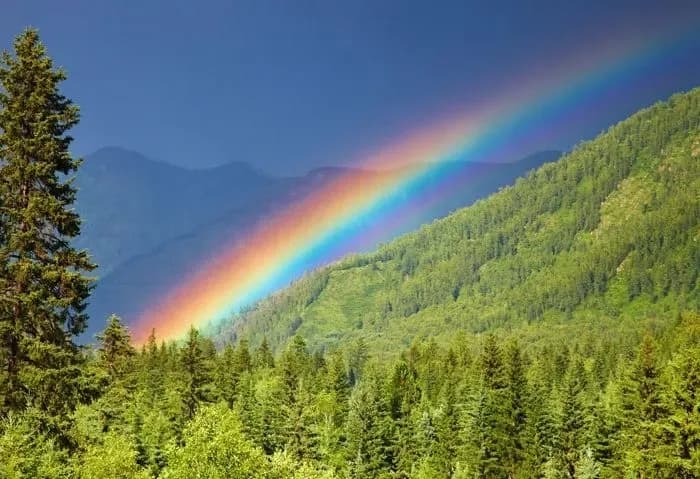 v-astrakhani-sud-pryznachyv-mistsevii-zhyteltsi-shtraf-za-foto-iz-zobrazhenniam-veselky