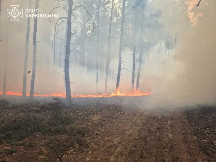 large-scale-forest-fire-started-in-kharkiv-region-because-of-russians