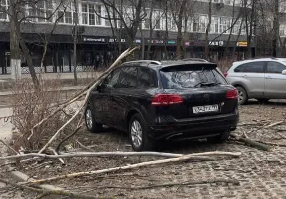 strong-winds-kill-two-people-in-moscow-injure-17
