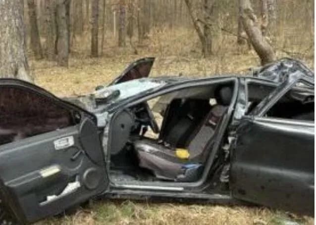 a-tree-fell-on-a-car-on-the-road-between-villages-in-chernihiv-region-2-people-killed-investigation-underway
